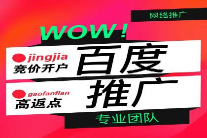 百度推广公司案例分享：如何通过百度推广实现持续增长